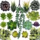 thumbnail image 1 of Juego de 16 plantas carnosas de simulación, microadornos decorativos para bonsáis, 1 of 2