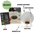 thumbnail image 3 of Kit de cultivo Microgreens Mountain Valley Mizuna Mustard, 3 of 7
