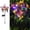 Colored Light, variant on Solar Garden Light Ground Insert, Decorative Balcony Lamp for Outdoor Garden Pathway Lighting, A