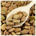 thumbnail image 2 of Everwilde Farms - 1/4 Lb Broad Windsor Fava Bean Seeds - Gold Vault Bulk Seed Packet, 2 of 4