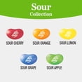 thumbnail image 3 of Jelly Belly Sour Jelly Bean Collection - 8 oz Pouch Bag, 10-Count Case - Genuine, Official, Straight from the Source, 3 of 11