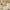 A478# Beige home storage organizers clearance under $5, variant on kkbbma Clearance Under $5 Plastic Storage Bins, Stackable Storage Containers, Folding Storage Boxes, Stackable Storage Bins, Closet Organizers and Storage for Living Room,Office,Dorm