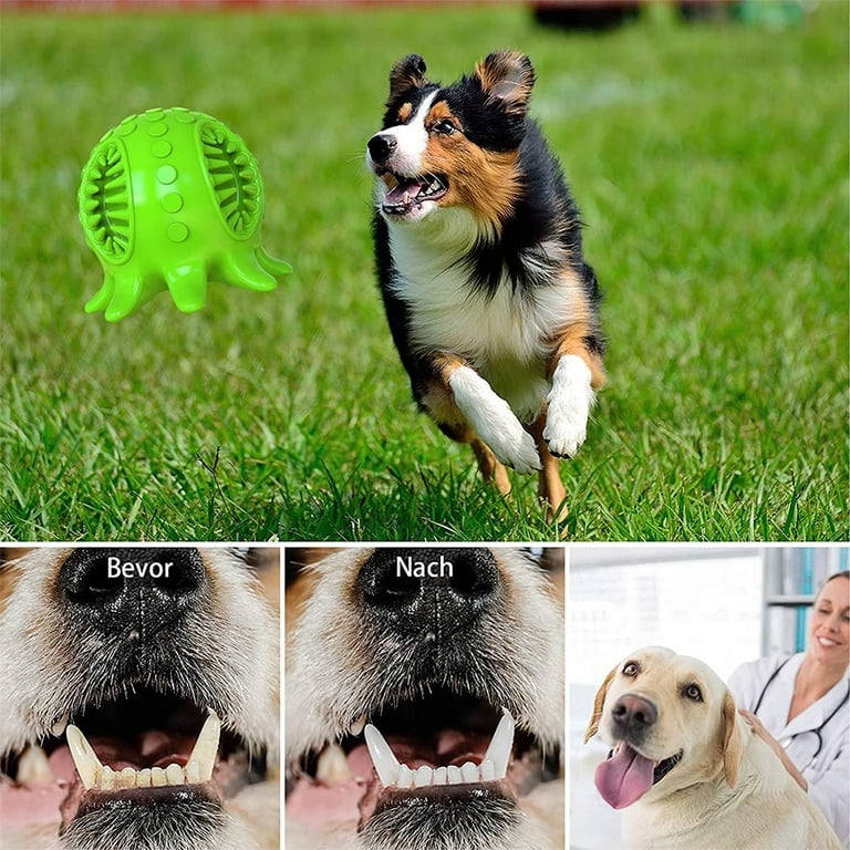 VONTER Dog Toys for Small Dogs Breed Puppies, Squeaky Dog Chew Toy