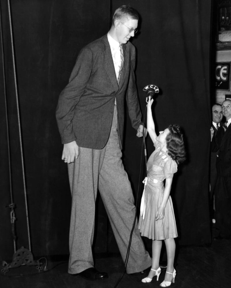 Robert Wadlow History (18 x 24)
