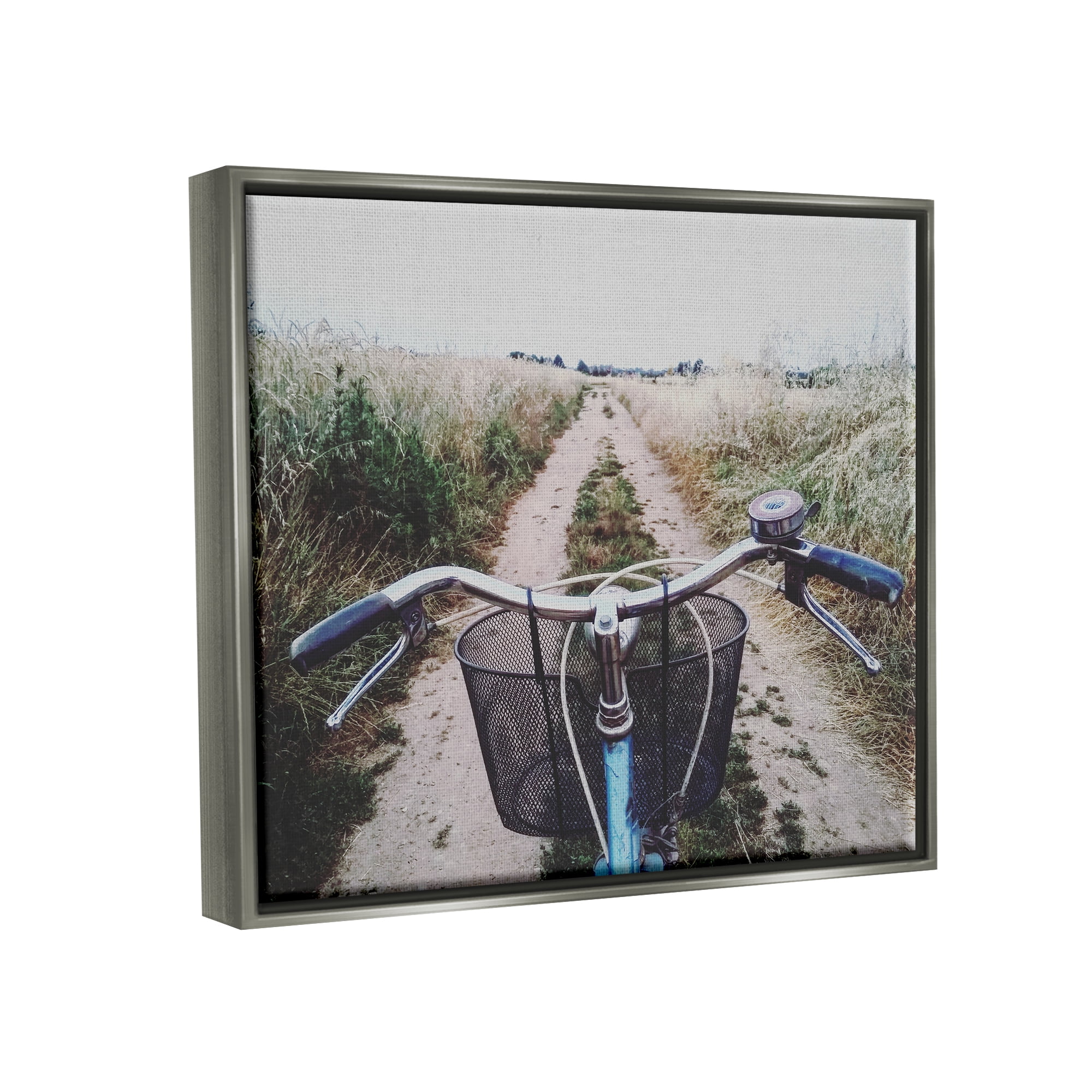 Stupell Industries Bicycle on Rural Path Nature Photography Gray Floater Framed Art Print Wall Art, 21 x 17