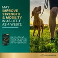 thumbnail image 2 of VetriScience Extra Strength Healthy Hip & Joint Supplement for Dogs over 30 lbs, Chicken, 120 Chews, 2 of 13