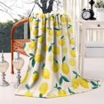 thumbnail image 2 of Lemon Blanket,Comfortable Soft Flannel Throw Blanket,All Season,Warm Lightweight Blankets for Sofa Bed Couch Living Room Chair,40"x50"(100x130cm), 2 of 4