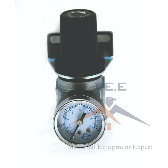 R20 Air Compressor Regulator, THB R202NG, 1/4" NPT Mini Regulator, 150 PSI
