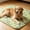 Green, variant on Dog Bed Mat, Washable Non-Slip Pet Crate Pad, Soft Cushion for Dogs & Cats