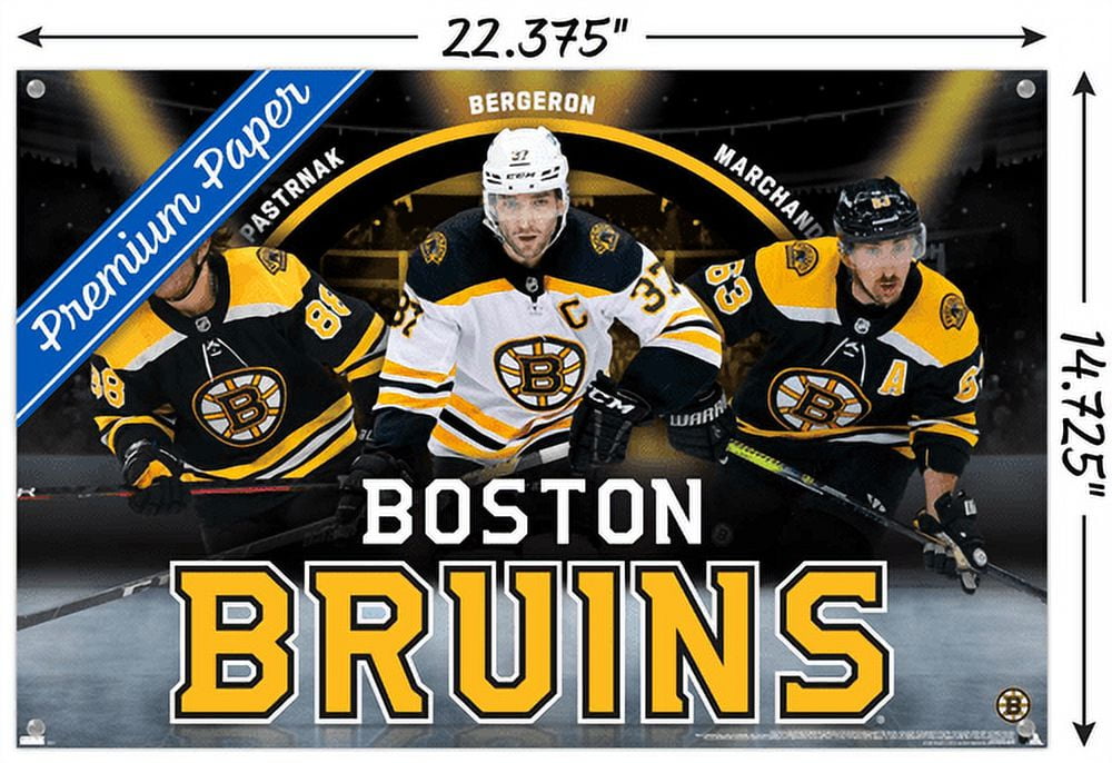 Boston Bruins: 2022 Outdoor Logo - Officially Licensed NHL Outdoor