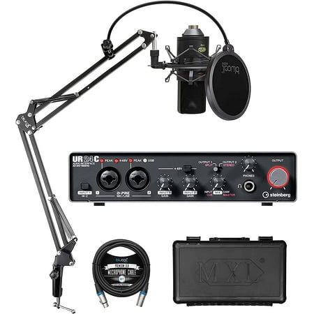 Steinberg UR24C USB Audio Interface with Microphone, Boom Arm