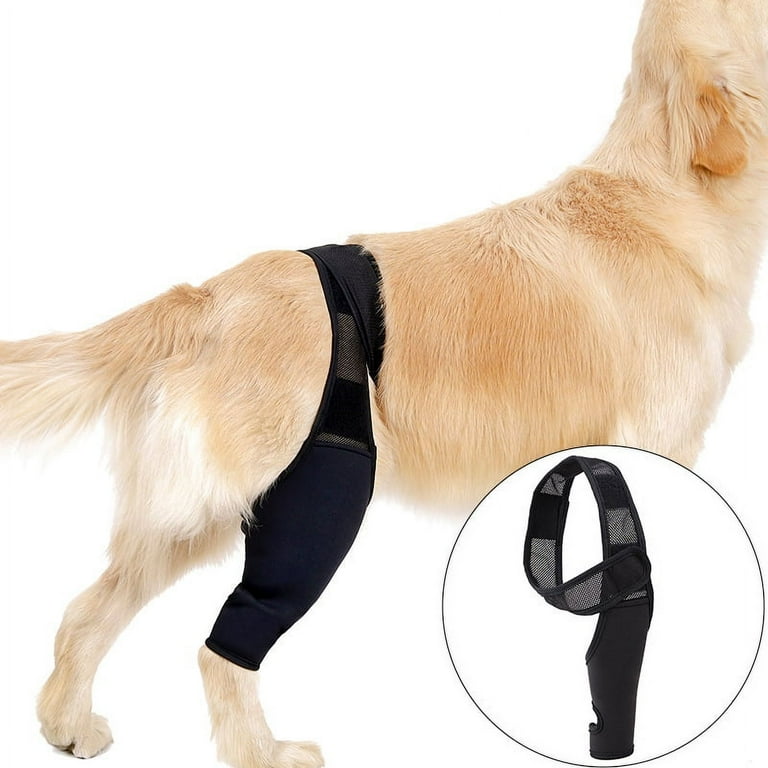 Dog Knee Brace, Dog Leg Braces for Back Leg, Dog Knee Support