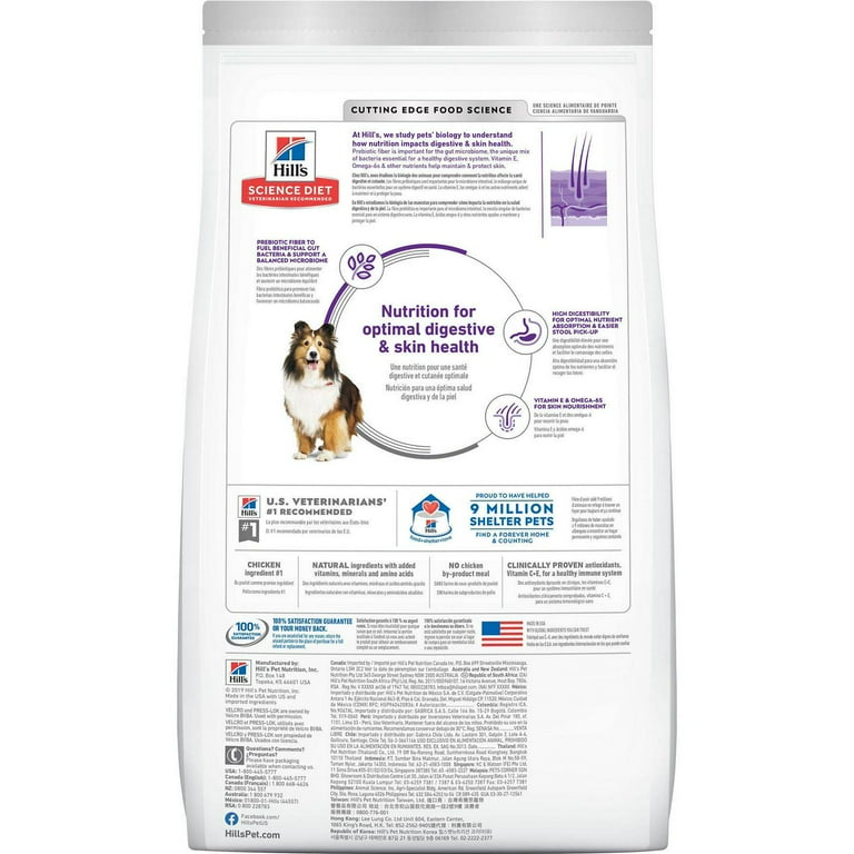 Science diet hotsell bland dog food