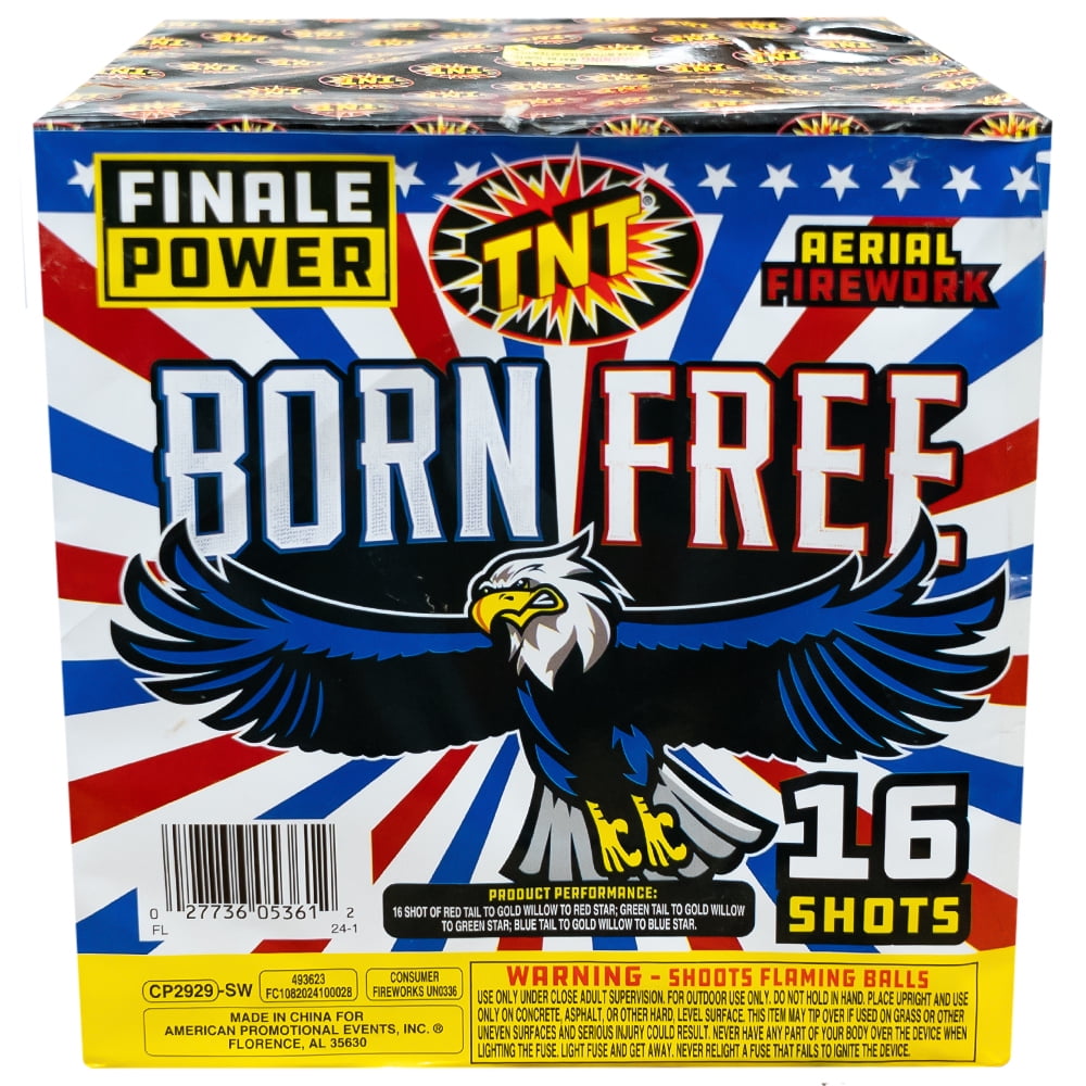 TNT Fireworks Pop-Its Party Snaps, 40 Boxes, 2,000 Snappers, Trick