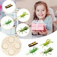 thumbnail image 1 of Cricket Life Cycle Of A Growth Stage Model Educational Plant Growth Cycle Toy, 1 of 5