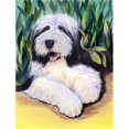 thumbnail image 1 of Drapeau en Toile de Collet Barbu - Taille de la Maison&44; 28 x 40 Po., 1 of 1