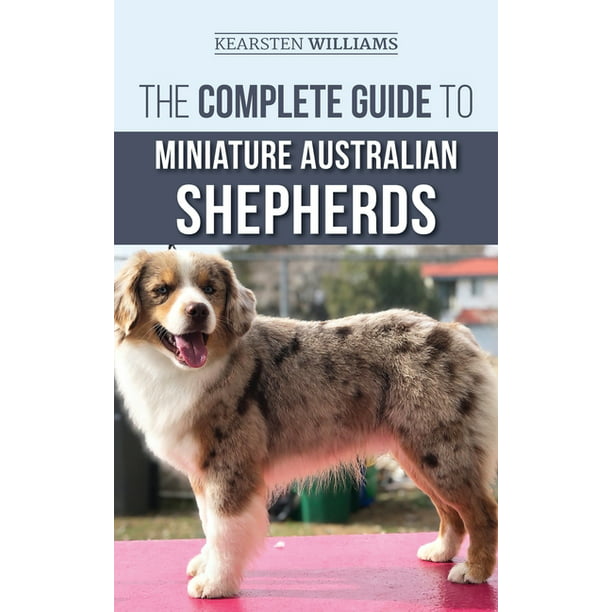 Omhyggelig læsning labyrint Egen The Complete Guide to Miniature Australian Shepherds : Finding, Caring For,  Training, Feeding, Socializing, and Loving Your New Mini Aussie Puppy  (Hardcover) - Walmart.com