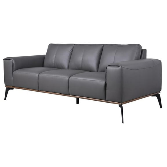 Hawthorne Collections 19.7" Modern Top Grain Leather Sofa in Gray