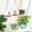 Gray, variant on Bowayaoa Hanging Plant Pots, Self Watering Hanging Planters with Drainage Holes, Indoor Outdoor Plastic Flower Pots with Hanging Chains for Balcony, Porch, Garden, Home Décor