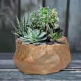 thumbnail image 6 of Ceramic Pot Plants Growing Pot Modern Style Planter with Drainage Hole Bonsai Plants Pot for Home Outdoor Desk Festival Decoration Style D and Large, 6 of 10