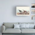 thumbnail image 3 of John James Audubon 'Red backed Sandpiper' Canvas Art, 3 of 3