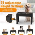 thumbnail image 2 of 2 in 1 Pet Lift Bowl - Leak-proof Slow Feeding Dog Bowl + Water Bowl, 4-Level Height Adjustment, Non-Slip Design, Suitable for Small, Medium and Large Dogs and Cats, 2 of 6