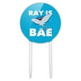 thumbnail image 1 of Acrylic Ray is Bae Funny Humor Cake Topper Party Decoration for Wedding Anniversary Birthday Graduation, 1 of 7