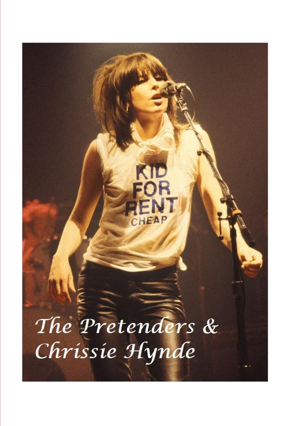 The Pretenders and Chrissie Hynde (Paperback) - Walmart.com