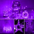 thumbnail image 4 of String Lights Yiaht Purple Halloween con batería LED de 7 pies y 20 pulgadas, 4 of 7