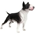 thumbnail image 3 of MOVTOTOP Bull Terrier Model Standing Dog Model Simulation Bull Terrier Dog Model Fake Puppy Model, 3 of 5