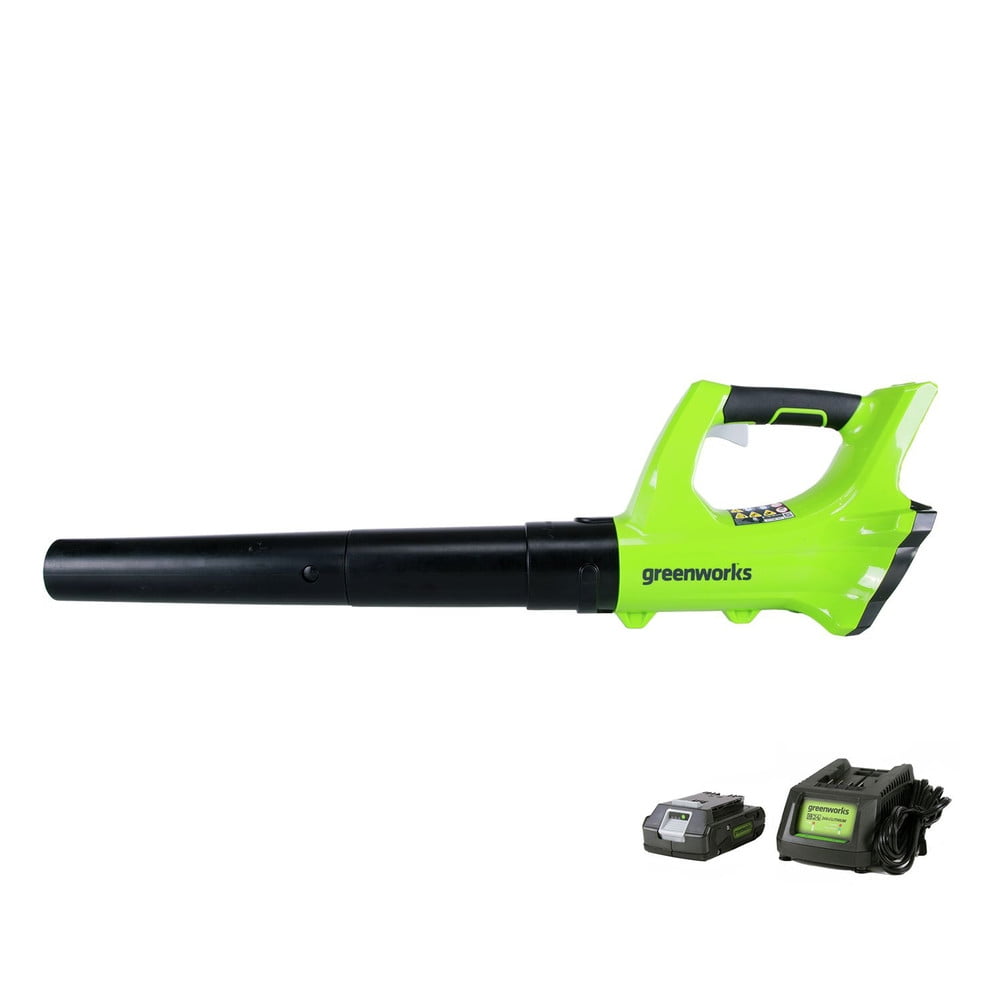 Greenworks 2400702 2400702 24V Cordless Leaf Blower with 2 Ah Battery