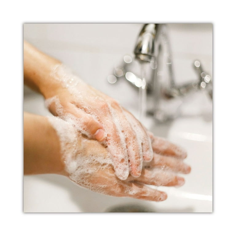 Basics MP Free Liquid Hand Soap Refill for Versa Dispensers, Unscented, 15 oz Refill Bottle Basics MP Free Liquid Hand Soap Refill for Versa Dispensers, Unscented, 15 oz Refill Bottle