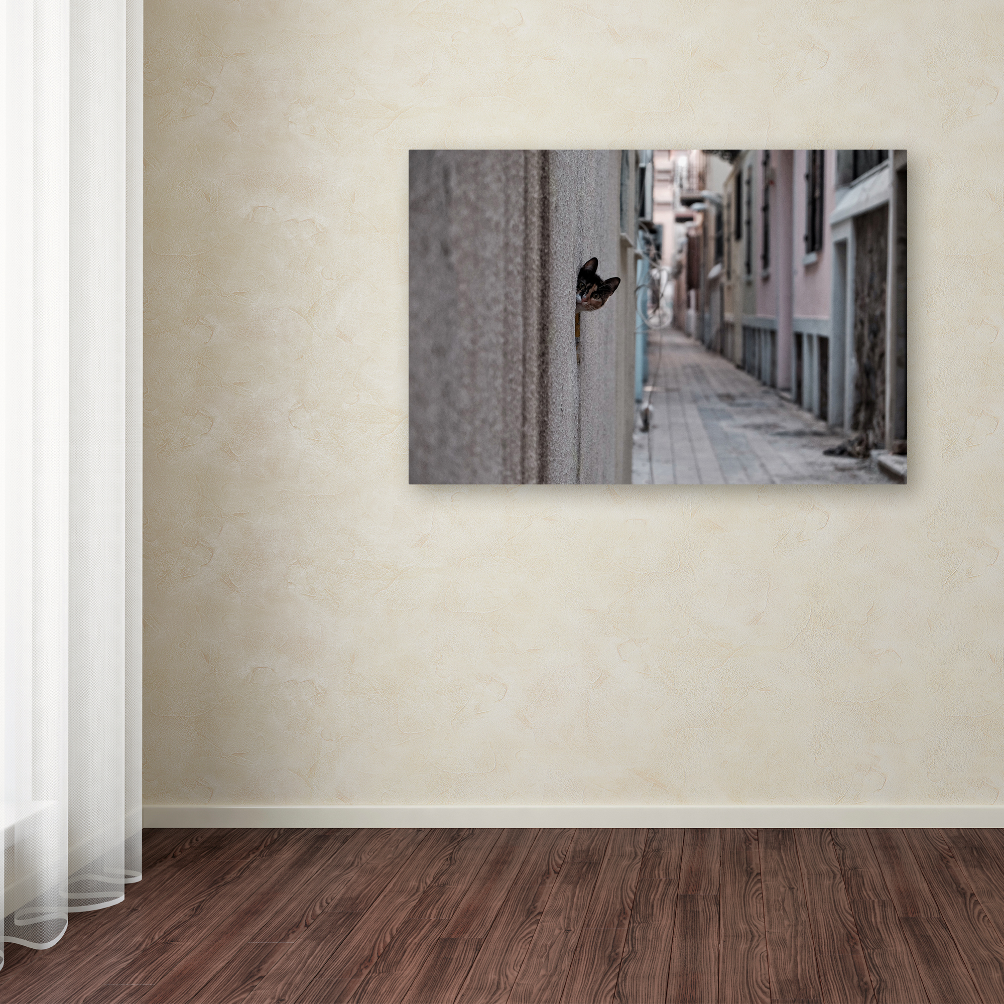 Trademark Fine Art 'Dantel Street Cat' Canvas Art by Ali Ayer
