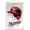 Premium Print and Beechwood Hanger Bundle, variant on MLB Washington Nationals - Drip Helmet 22 Wall Poster with Magnetic Frame, 22.375" x 34"