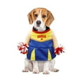 thumbnail image 3 of Best Furry Friends Costume for Dogs or Cats,Cheerleader, Medium, 3 of 4