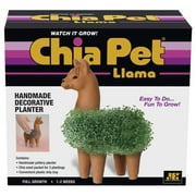 Llama Classic Chia Pet Handmade Decorative Planter by JEI