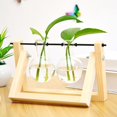 thumbnail image 3 of Florero de bulbo de terrario con soporte giratorio de madera 2 jarrones perfecl, 3 of 7