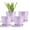 Purple-2, variant on BUYMAX5 inch Ceramic Flower Pot with Drainage Hole and Ceramic Tray,Set of 4,White