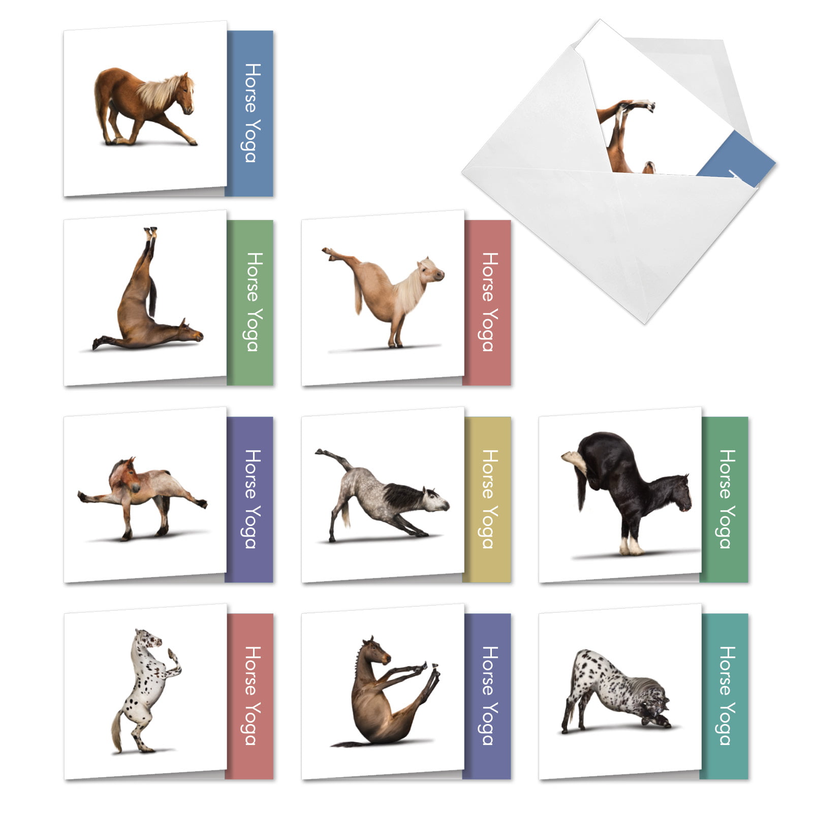 Horse Yoga MQ4171OCB-B1x10 Details about   10 Assorted All Occasion Blank Note Cards Boxed 