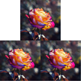 thumbnail image 1 of 5D DIY Kit Rosa Del Arte Artesanal 30x30cm, 1 of 8