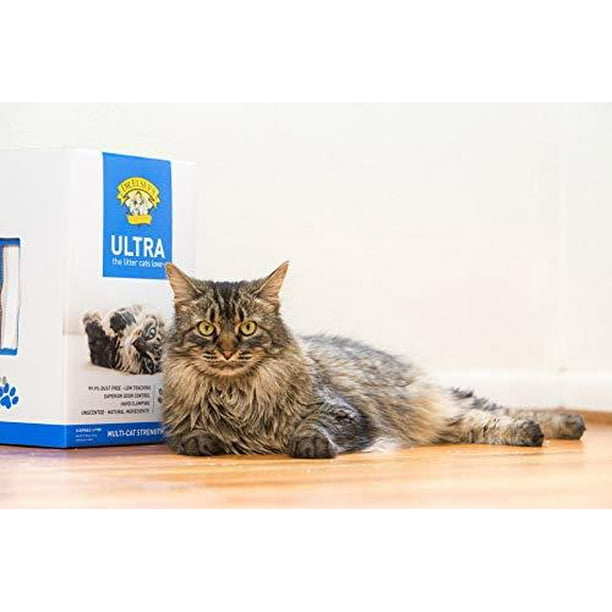 Precious Cat Ultra Premium Clumping Cat Litter, 18 lb Bag - Walmart.ca