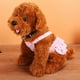 thumbnail image 5 of Perro mascota lavable Pantalones físicos Pantalones sanitarios Calzoncillos con correa - Rosa, S Gloria Pantalón físico para perros, 5 of 9