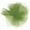 Basil Green, variant on Orange Tulle Ribbon