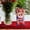 Open Eyes 13x22cm, variant on Tachiuwa New Year Red Envelopes Hong Bao 2024 Year of The Dragon Cloth Hongbao Red Packets Lucky Money for Graduation Wedding Birthday Open 1 Eye 13x22cm