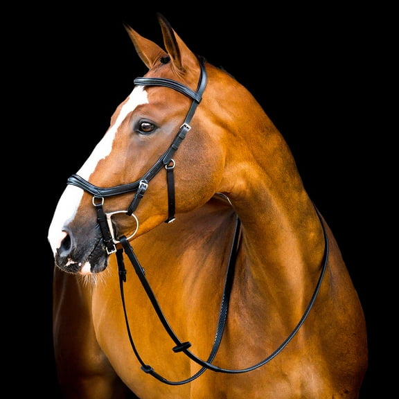 Micklem 2.0 Deluxe Competition Bridle, Black, Full