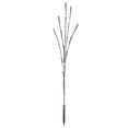 thumbnail image 1 of Vickerman Vickerman 60 Lumières LED Grand Angle Blanc Froid sur Fil Marron, 1 of 1