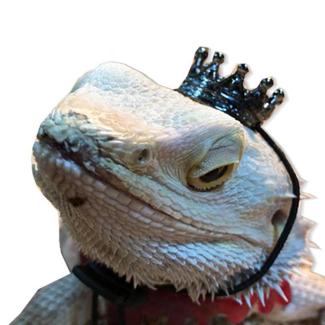 Corona con , decoración de diadema, sombrero de cumpleaños con collar para suministros de recuerdo EstiloC BLESIY corona brillo