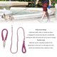 thumbnail image 4 of Correa Para Perro Elegante, Cuerda De Tracción Para Perros De Nailon Multiusos Ajustable XL Para Caminar En El Jardín Para Perros De Gran Tamaño, 4 of 7