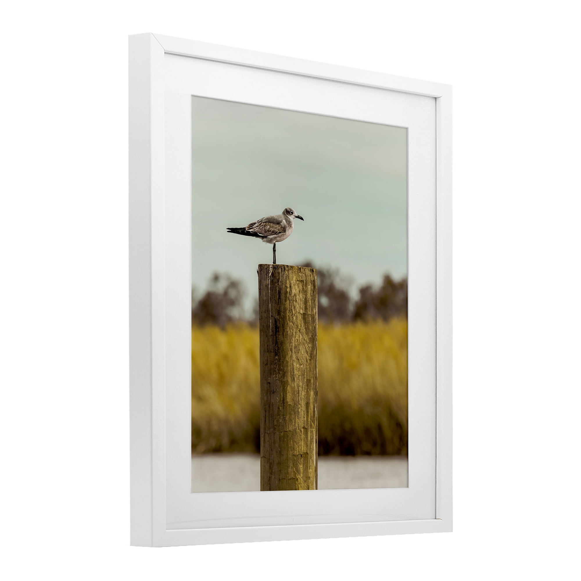 Stupell Industries Gull On Piling White Framed Print Under Glass, design by Christy Berry