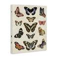 thumbnail image 3 of Stupell Industries Eclectic Vintage Butterfly Breeds Canvas Art, 36 x 48, by Susan Arnot, 3 of 8